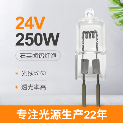 24v 250w Żarówka halogenowa Koraliki zastępcze LED Lampa kryształowa Chirurgia bez cienia