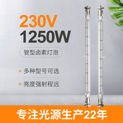 230V 1250W Przeciwwybuchowe kwarcowe halogenowe promienniki podczerwieni do Adb Alnaco Hf1000
