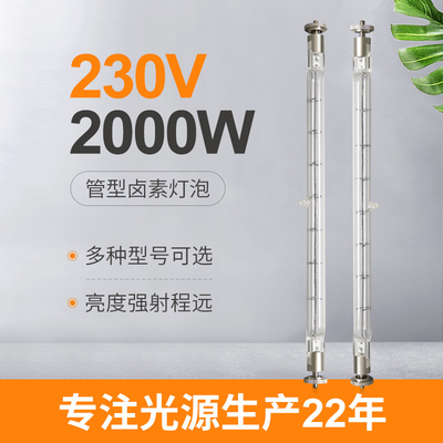 230V 2000W wolframowa dwustronna liniowa lampa halogenowa Komercyjne przewody 215 mm